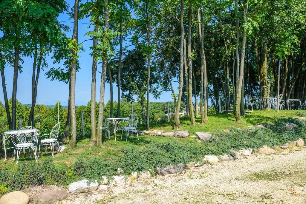 Agriturismo B&B Corte Tonolli Valeggio sul Mincio Dış mekan fotoğraf