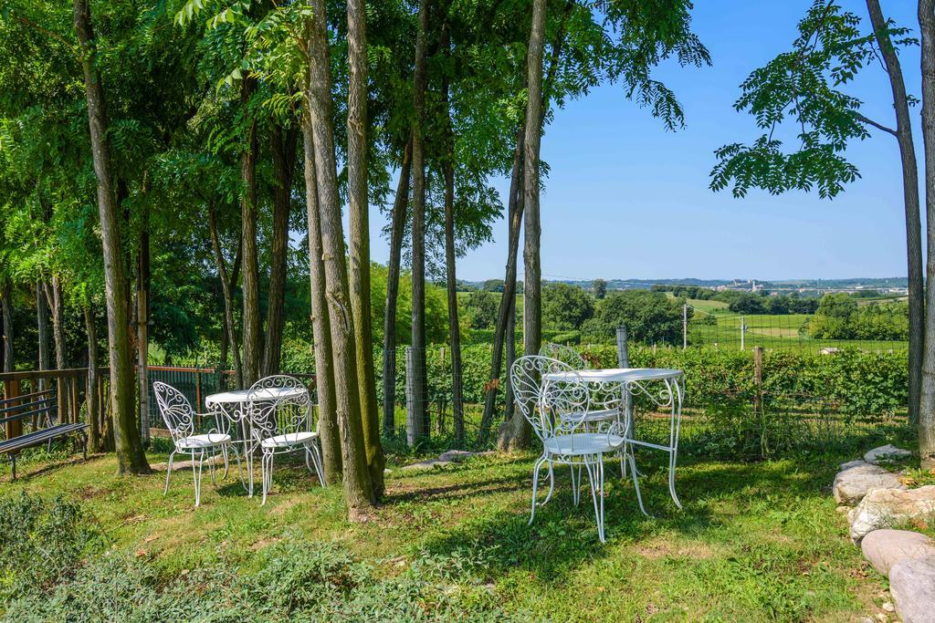 Agriturismo B&B Corte Tonolli Valeggio sul Mincio Dış mekan fotoğraf