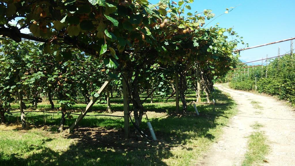 Agriturismo B&B Corte Tonolli Valeggio sul Mincio Dış mekan fotoğraf