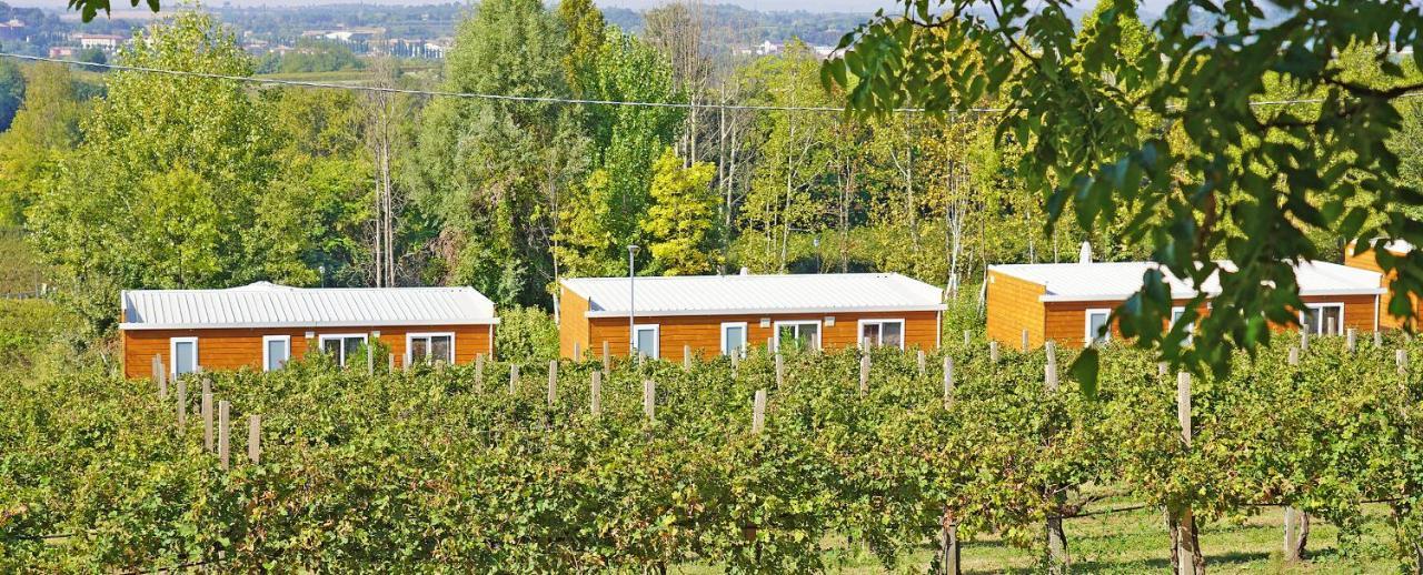 Agriturismo B&B Corte Tonolli Valeggio sul Mincio Dış mekan fotoğraf