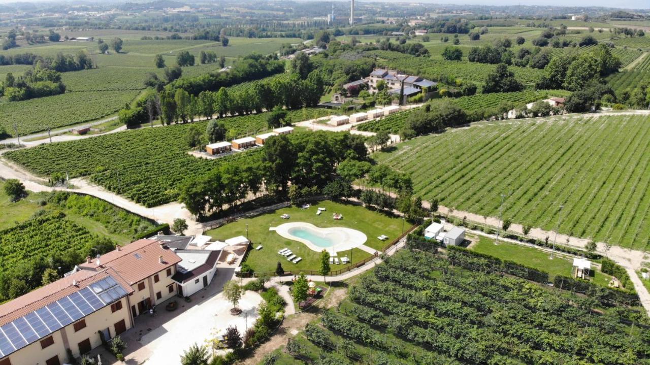Agriturismo B&B Corte Tonolli Valeggio sul Mincio Dış mekan fotoğraf